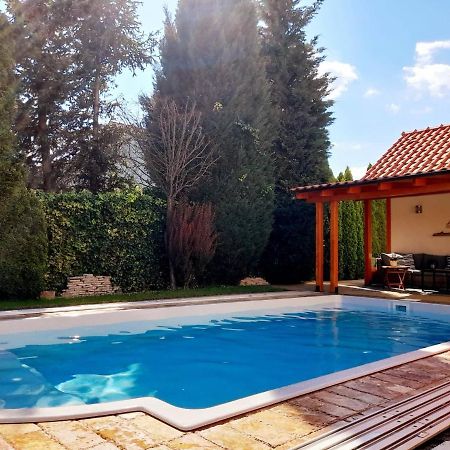 Canadian Style House With 3D Effect Pool Vinosady Exterior foto